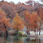 Fall colors on the Frio River